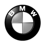 BMW PSB Bushings